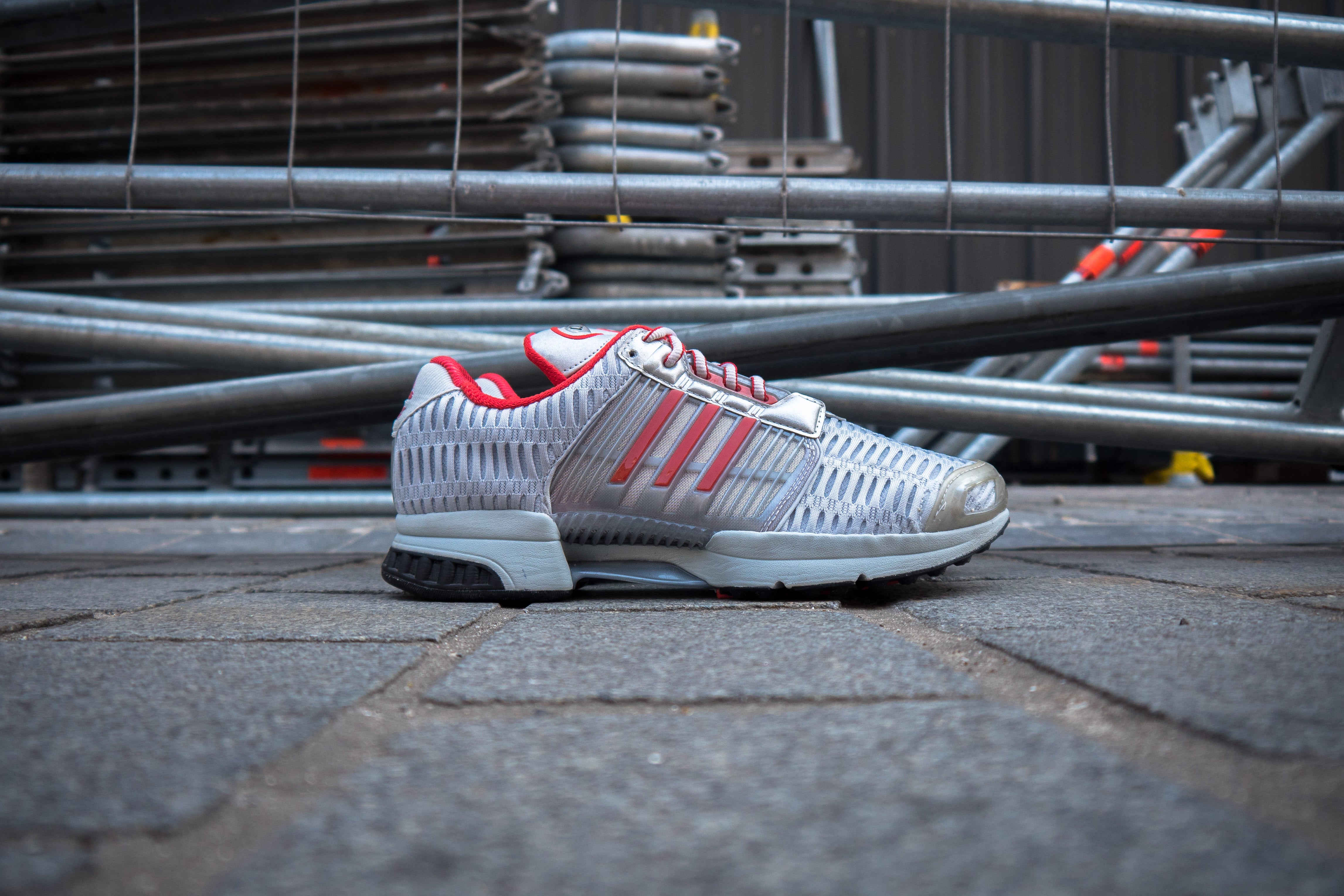 Adidas climacool 1 gris Clearance