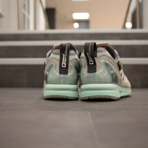 Adidas ZX 9000  "Glacier National Park"
