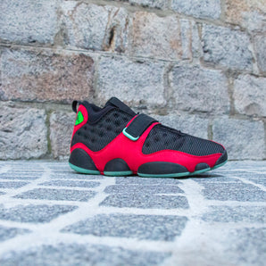 Air Jordan Black Cat "Bred"