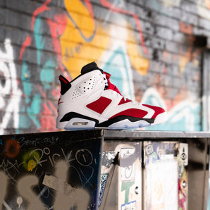 Air Jordan 6 Rétro "Carmine"