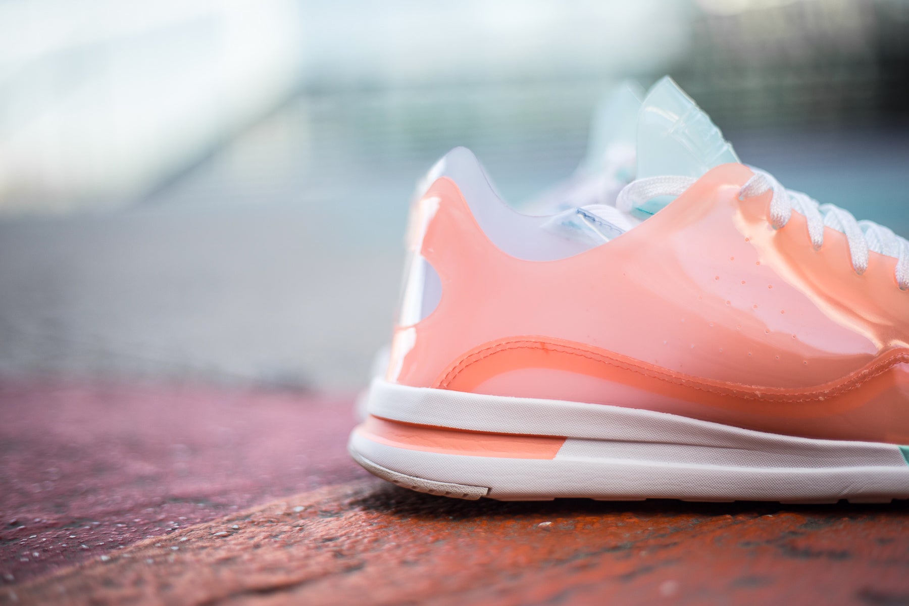 Le coq sportif shop icons w translucent