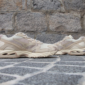 Mizuno Wave Rider 10 "Desert meditations" Pack
