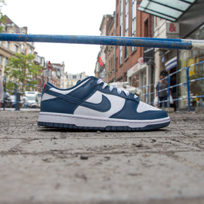 Nike Dunk Low Valerian Blue