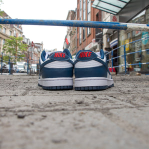 Nike Dunk Low Valerian Blue