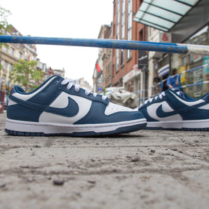Nike Dunk Low Valerian Blue