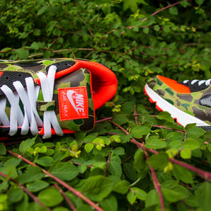Air Max LA BOITE COLLECTOR