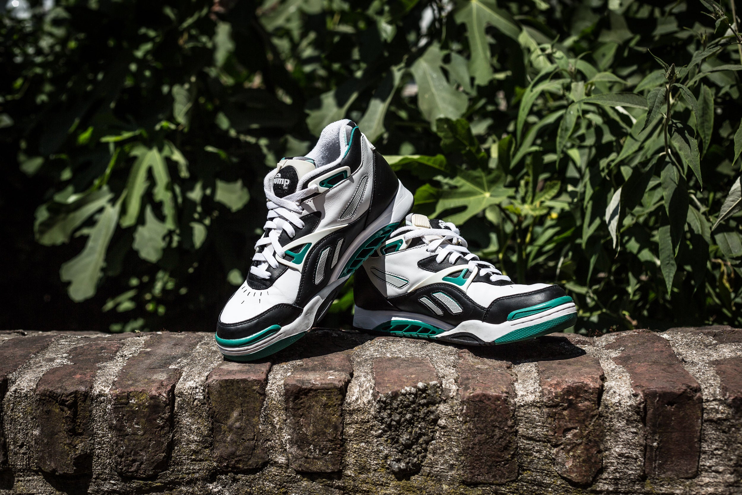 Acheter reebok pump court victory Clearance